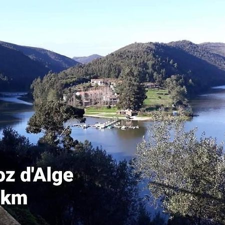 Casa Da Vila Figueiro Dos Vinhos Dış mekan fotoğraf