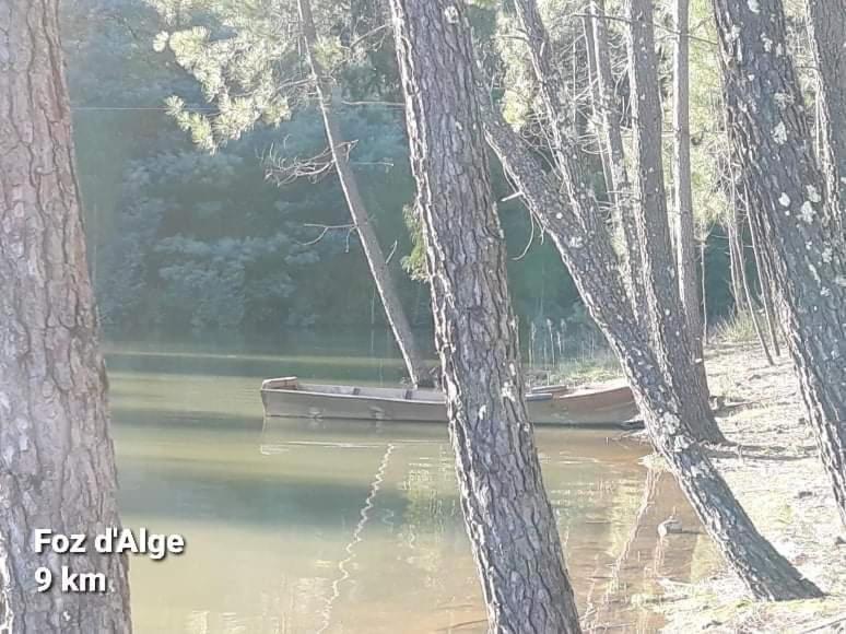 Casa Da Vila Figueiro Dos Vinhos Dış mekan fotoğraf