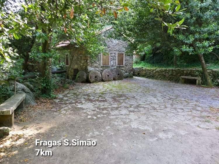 Casa Da Vila Figueiro Dos Vinhos Dış mekan fotoğraf