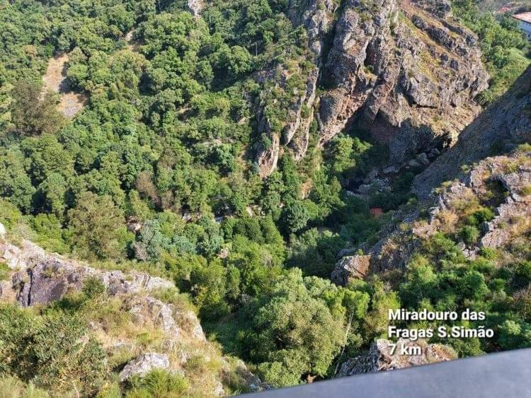 Casa Da Vila Figueiro Dos Vinhos Dış mekan fotoğraf