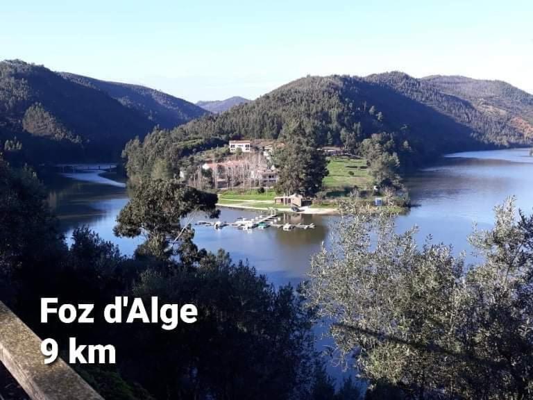 Casa Da Vila Figueiro Dos Vinhos Dış mekan fotoğraf