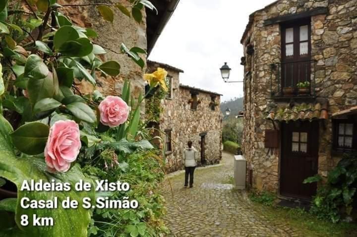Casa Da Vila Figueiro Dos Vinhos Dış mekan fotoğraf